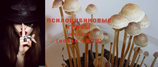 сатива Вяземский