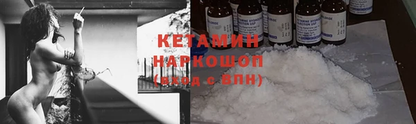 сатива Вяземский