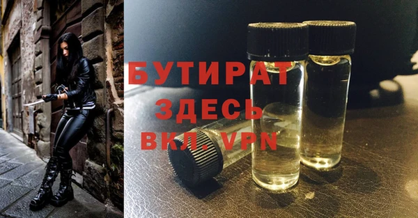 сатива Вяземский