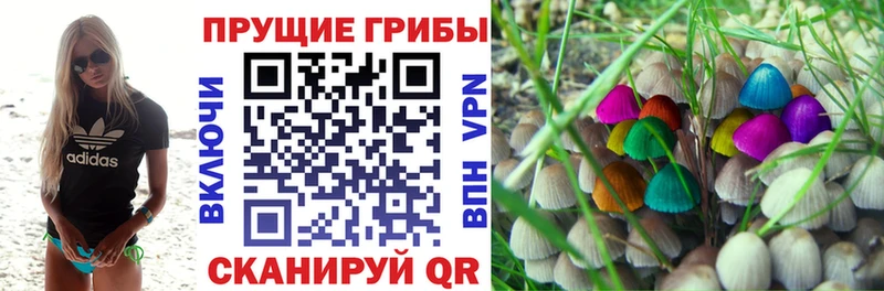 Псилоцибиновые грибы Cubensis  Енисейск 